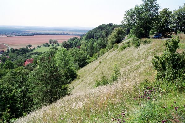 Střemošice, 31.7.2004
Pohled na Střemošice a Střemošickou stráň od jihozápadu.



Klíčová slova: Střemošice Střemošická stráň Pheletes quercus Quasimus minutissimus