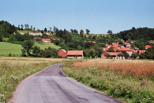 Střemošice, 31.7.2004
Pohled na Střemošice a Střemošickou stráň od jihozápadu.



Klíčová slova: Střemošice Střemošická stráň Pheletes quercus Quasimus minutissimus