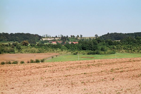 Střemošice, 31.7.2004
Pohled na Střemošice a Střemošickou stráň od jihozápadu.
Klíčová slova: Střemošice Střemošická stráň Pheletes quercus Quasimus minutissimus