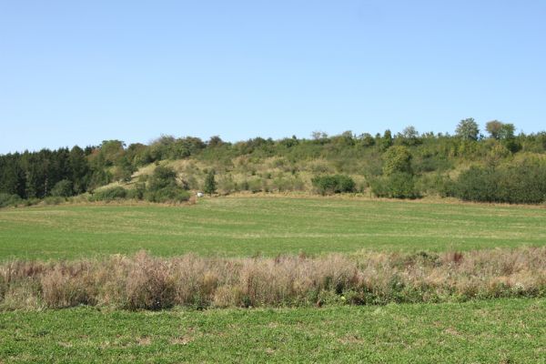 Střemošice, 9.9.2009
Zarůstající sady a pastviny na svazích Klapalky.
Schlüsselwörter: Střemošice Luže Klapalka