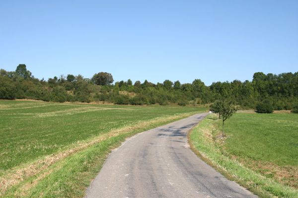 Střemošice, 9.9.2009
Zarůstající pastviny na svazích Klapalky.
Mots-clés: Střemošice Luže Klapalka