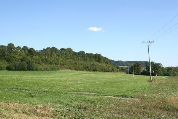 Střemošice, 9.9.2009
Zarůstající pastviny u Žižkova stolu.
Mots-clés: Střemošice U Žižkova stolu Žižkův stůl