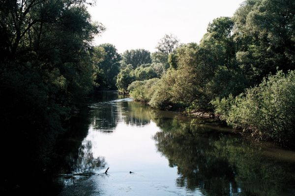 Střeň, meandry Moravy, 12.6.2006
Pohled z mostu proti proudu Moravy. Odtud ještě nic nenapovídá, jaké zajímavé biotopy se ukrývají o kus výše.
Klíčová slova: CHKO Litovelské Pomoraví Střeň Morava