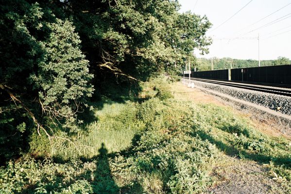 Střeň, 13.6.2006
Okraj lesa u železniční zastávky - biotop kovaříků Paraphotistus nigricornis.
Schlüsselwörter: Střeň Paraphotistus nigricornis