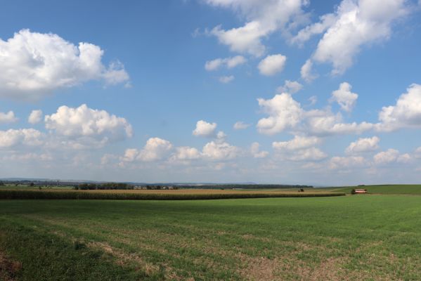 Střezetice, 14.9.2021
Pohled na Zvičinu a Krkonoše.
Klíčová slova: Střezetice Zvičina Krkonoše