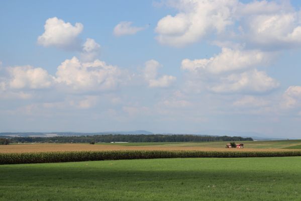 Střezetice, 14.9.2021
Pohled na Zvičinu a Krkonoše.
Klíčová slova: Střezetice Zvičina Krkonoše