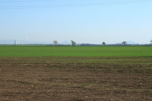 Hořetice  - Stroupeč, 17.4.2007
Pohled ze silnice na krajinu severně od Loun (elektrárna Počerady, vrch Raná).
Klíčová slova: Hořetice Stroupeč Počerady Raná
