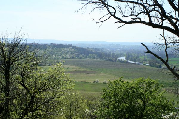 Stroupeč, 17.4.2007
Pohled z rezervace Stroupeč k Žatci, na obce Záhoří a Libočany.
Klíčová slova: Stroupeč Žatec Libočany Záhoří