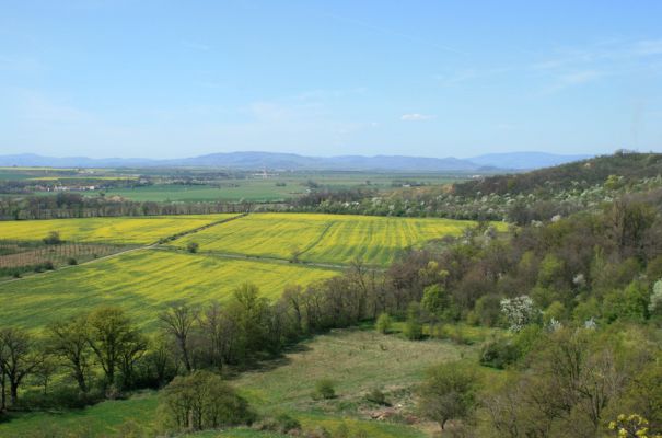 Stroupeč, 17.4.2007
Pohled z rezervace Stroupeč k obci Přívlaky a Nechranické přehradě.
Klíčová slova: Stroupeč Přívlaky