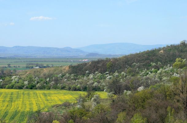 Stroupeč, 17.4.2007
Pohled z rezervace Stroupeč na stepi a rozkvetlé svahy nad obcí Přívlaky.
Schlüsselwörter: Stroupeč Přívlaky