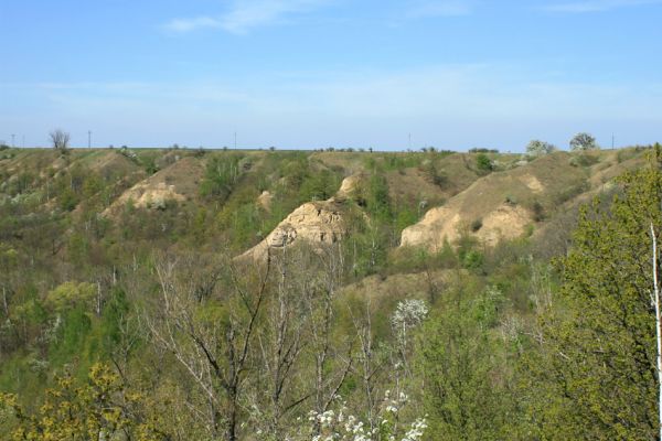 Stroupeč, 17.4.2007
Erodované svahy v západní západní části rezervace Stroupeč.
Klíčová slova: Stroupeč