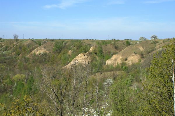 Stroupeč, 17.4.2007
Erodované svahy v západní západní části rezervace Stroupeč.
Klíčová slova: Stroupeč