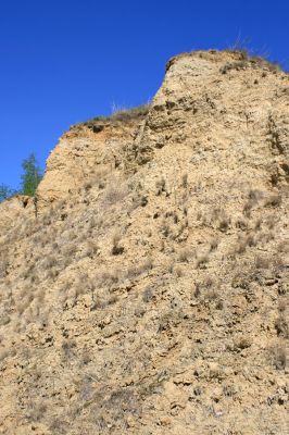 Stroupeč, 17.4.2007
Erodovaný svah v západní části rezervace Stroupeč.
Klíčová slova: Stroupeč