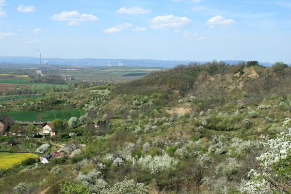 Přívlaky, 17.4.2007
Rozkvetlé zarůstající pastviny nad obcí Přívlaky.
Schlüsselwörter: Přívlaky Cardiophorus erichsoni Limonius poneli