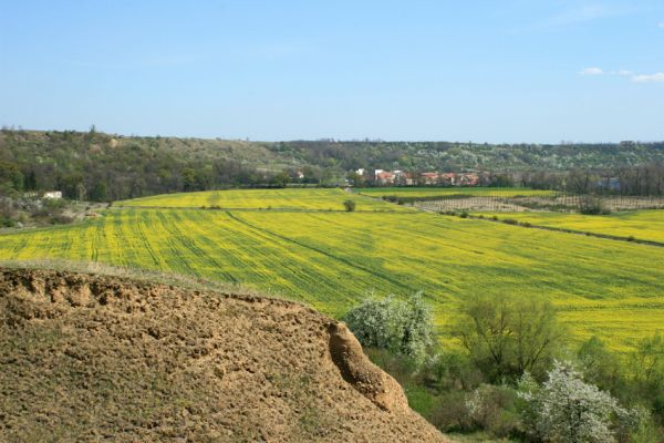 Přívlaky, 17.4.2007
Pohled ze stepi nad obcí Přívlaky na Stroupeč.
Mots-clés: Přívlaky Stroupeč