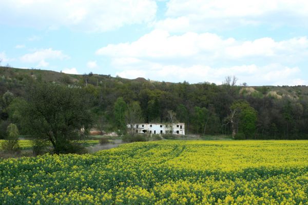 Přívlaky, 17.4.2007
Stroupeček byl v podstatě vždy jen osamocený zámeček se dvorem a dokladů k němu se dochovalo jen minimálně. V těsné blízkosti je skupina památných stromů - 11 dubů letních a jeden jilm habrolistý. 
Keywords: Přívlaky Stroupeček