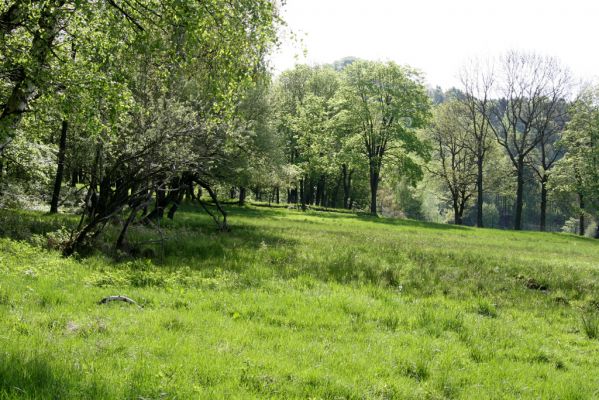 Česká Kamenice, Líska, 12.5.2015
Louky na jižním úpatí vrchu Studenec.


Klíčová slova: Česká Kamenice Líska vrch Studenec Denticollis rubens Ctenicera pectinicornis Agriotes obscurus