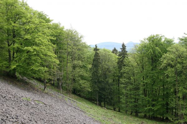 Česká Kamenice, Líska, 12.5.2015
Kamenné moře na jižním svahu vrchu Studenec.

Mots-clés: Česká Kamenice Líska vrch Studenec