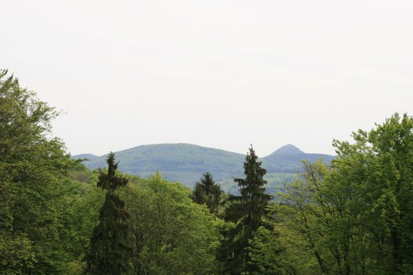 Česká Kamenice, Líska, 12.5.2015
Pohled z vrchu Studenec na vrch Klíč.
Klíčová slova: Česká Kamenice Líska vrch Studenec Klíč