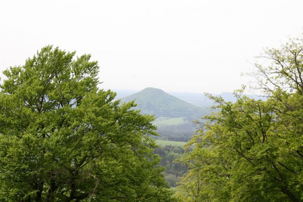 Česká Kamenice, Líska, 12.5.2015
Kamenné moře na jižním svahu vrchu Studenec. Pohled na Růžovský vrch.

Klíčová slova: Česká Kamenice Líska vrch Studenec Růžovský vrch