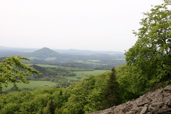 Česká Kamenice, Líska, 12.5.2015
Kamenné moře na jižním svahu vrchu Studenec. Pohled na Růžovský vrch.



Keywords: Česká Kamenice Líska vrch Studenec Růžovský vrch