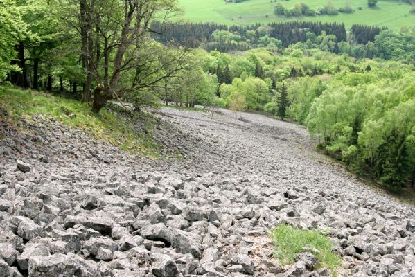 Česká Kamenice, Líska, 12.5.2015
Kamenné moře na jižním svahu vrchu Studenec.

Klíčová slova: Česká Kamenice Líska vrch Studenec