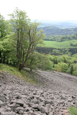 Česká Kamenice, Líska, 12.5.2015
Kamenné moře na jižním svahu vrchu Studenec.

Keywords: Česká Kamenice Líska vrch Studenec