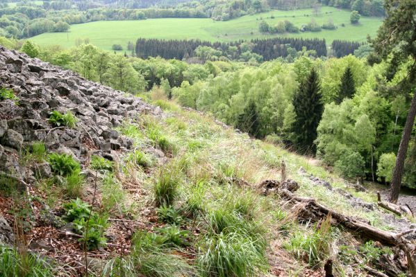 Česká Kamenice, Líska, 12.5.2015
Kamenné moře na jižním svahu vrchu Studenec.


Schlüsselwörter: Česká Kamenice Líska vrch Studenec Anostirus purpureus