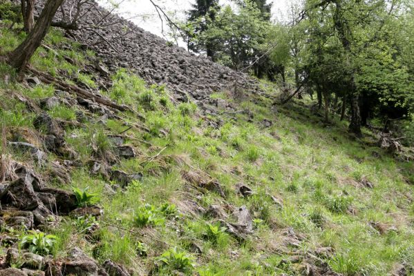 Česká Kamenice, Líska, 12.5.2015
Kamenné moře na jižním svahu vrchu Studenec.


Klíčová slova: Česká Kamenice Líska vrch Studenec Ctenicera cuprea Pheletes aeneoniger Sericus brunneus