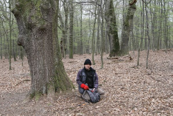 Stupava, 31.3.2012
Pomperdák - vrch Ohek.
Klíčová slova: Stupava Pomperdák vrch Ohek Dušánek