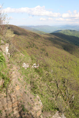 Nová Sedlica, 10.5.2014
Jarabá skala - pohled na Vysoký vrch a Stužici.
Keywords: Nová Sedlica Poloniny Bukovské vrchy Stužica