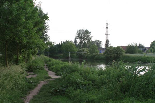 Svobodné Dvory-Kukleny, 28.5.2009
Vegetace na hrázce mezi vodní nádrží a Labským náhonem. Biotop zdobence Trichius rosaceus.
Schlüsselwörter: Hradec Králové Svobodné Dvory Kukleny Trichius rosaceus