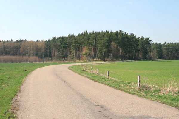 Labské Chrčice, Svárava, 8.4.2010
Východní cíp zalesněné rezervace Duny u Sváravy. Plocha vhodná pro uskutečnění převodu z geologické rezervace na rezervaci biologickou.
Keywords: Labské Chrčice Svárava Duny u Sváravy