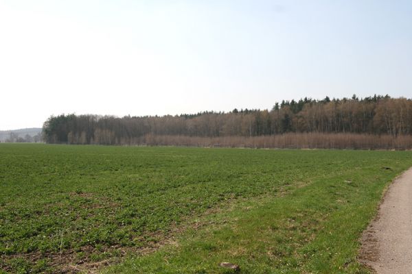 Labské Chrčice, Svárava, 8.4.2010
Jihovýchodní okraj zalesněné geologické rezervace Duny u Sváravy.
Mots-clés: Labské Chrčice Svárava Duny u Sváravy