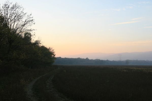 Svätý Jur, 6.11.2015
Panónsky háj. Pohled od Černej Vody na Malé Karpaty.
Klíčová slova: Svätý Jur Panónsky háj Malé Karpaty