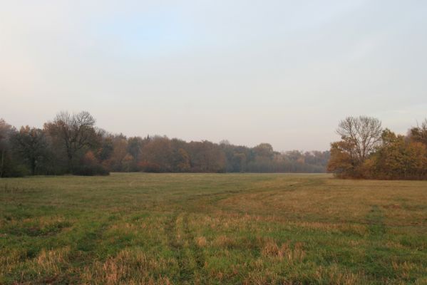 Svätý Jur, 6.11.2015
Śúr od Čiernej Vody.
Klíčová slova: Svätý Jur Šúr