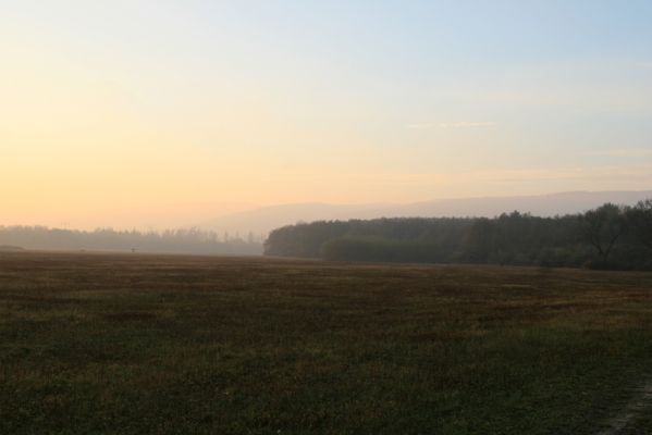 Svätý Jur, 6.11.2015
Śúr od Panónskeho háje.
Schlüsselwörter: Svätý Jur Šúr