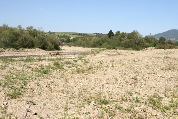 Sveržov, 17.9.2014
Meandry Kamence - zregulováno.



Schlüsselwörter: Sveržov řeka Kamenec