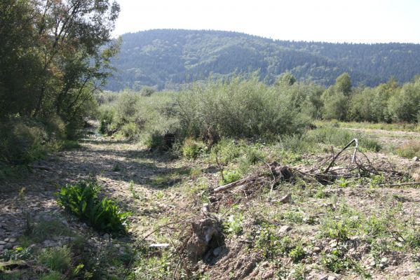 Sveržov, 17.9.2014
Meandry Kamence - staré koryto.


Klíčová slova: Sveržov řeka Kamenec