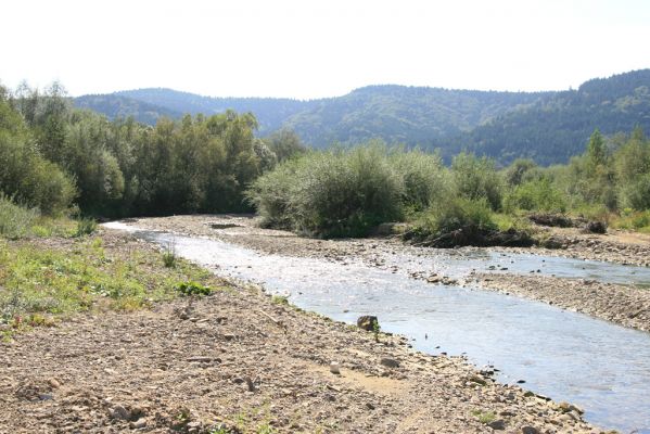 Sveržov, 17.9.2014
Meandry Kamence.


Klíčová slova: Sveržov řeka Kamenec