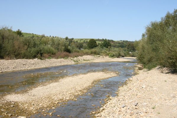 Sveržov, 17.9.2014
Meandry Kamence - zregulováno


Klíčová slova: Sveržov řeka Kamenec