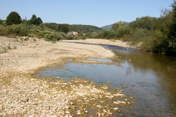 Sveržov, 17.9.2014
Meandry Kamence - zregulováno.



Klíčová slova: Sveržov řeka Kamenec