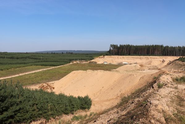 Žďár nad Orlicí, 15.9.2020
Pískovna Světlá.
Mots-clés: Žďár nad Orlicí pískovna Světlá Zorochros meridionalis