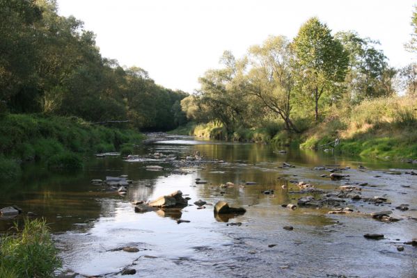 Svidník, 18.9.2014
Řeka Ondava pod soutokem s Ladomírkou.



Klíčová slova: Svidník řeka Ondava