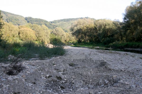 Svidník, 18.9.2014
Meandry Ondavy pod soutokem s Ladomírkou - těžba štěrkových náplavů.



Klíčová slova: Svidník řeka Ondava Zorochros dermestoides