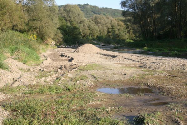 Svidník, 18.9.2014
Meandry Ondavy pod soutokem s Ladomírkou - těžba štěrkových náplavů.



Klíčová slova: Svidník řeka Ondava