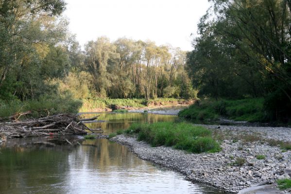 Svidník, 18.9.2014
Meandry Ondavy pod soutokem s Ladomírkou.



Klíčová slova: Svidník řeka Ondava