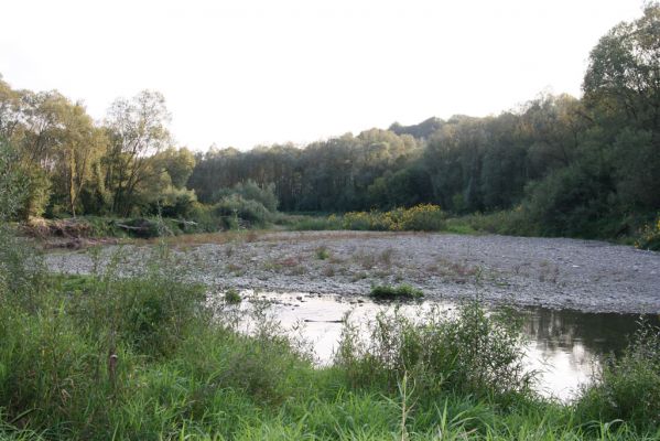 Svidník, 18.9.2014
Meandry Ondavy pod soutokem s Ladomírkou. I ve Svidníku lze nalézt těžbou nenarušené štěrkové náplavy.



Keywords: Svidník řeka Ondava