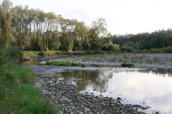 Svidník, 18.9.2014
Meandry Ondavy pod soutokem s Ladomírkou. I ve Svidníku lze nalézt těžbou nenarušené štěrkové náplavy.



Klíčová slova: Svidník řeka Ondava