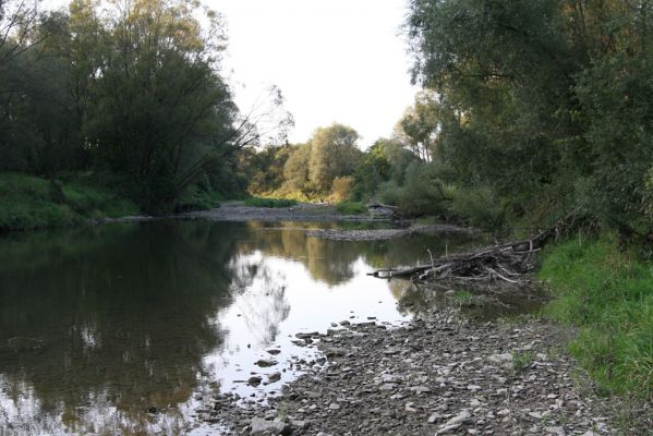 Svidník, 18.9.2014
Meandry Ondavy pod soutokem s Ladomírkou.


Schlüsselwörter: Svidník řeka Ondava